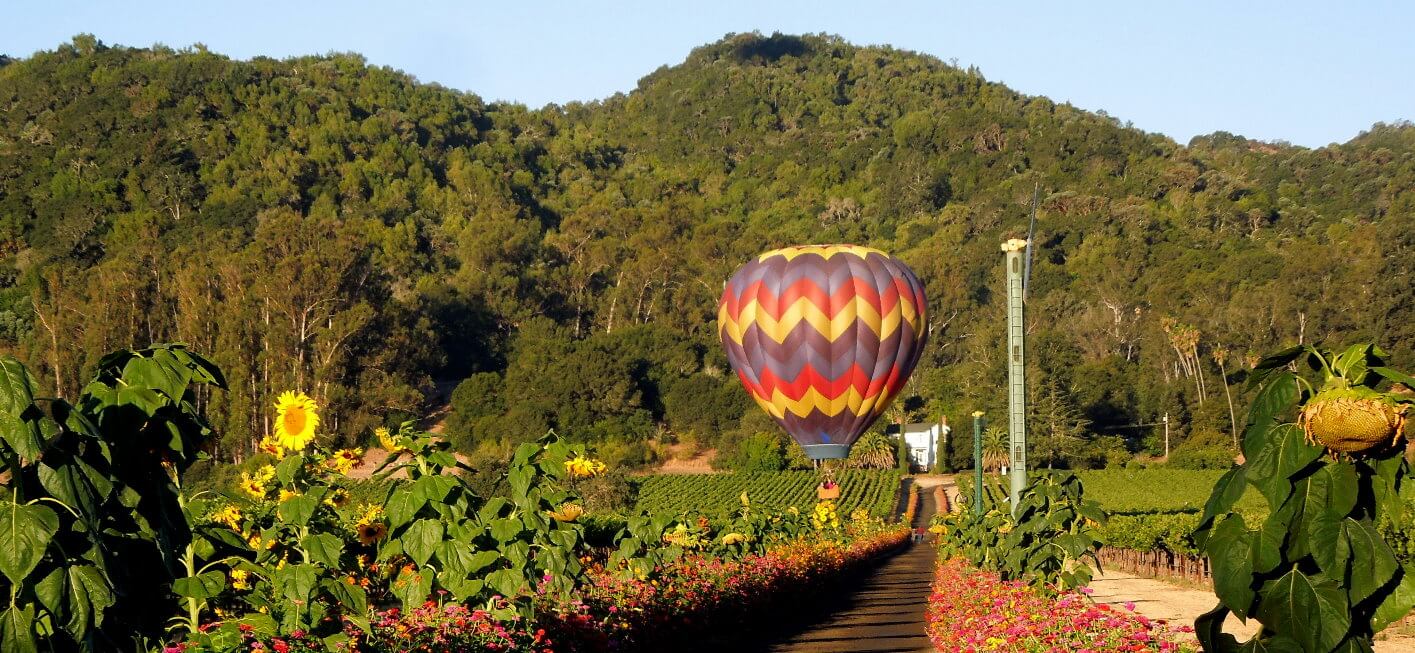 Napa Valley wine country photos wineries vineyards  (85)